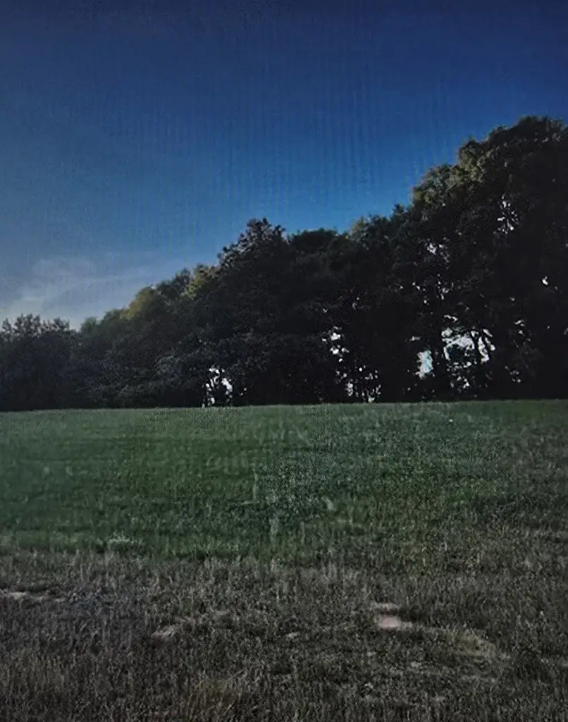 0 W Boll Weevil Circle, Enterprise, AL 36330 - #3