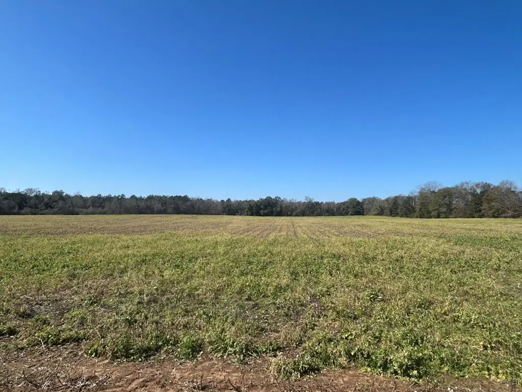 31.5+-ac Rammer Loop Rd, Cottonwood, AL 36301 - #1
