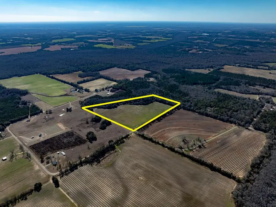 31.5+-ac Rammer Loop Rd, Cottonwood, AL 36301 - #3