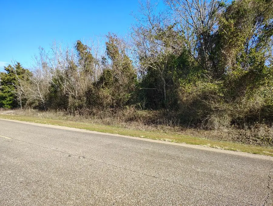 000 Guy Branch Rd, Cottonwood, AL 36320 - #2