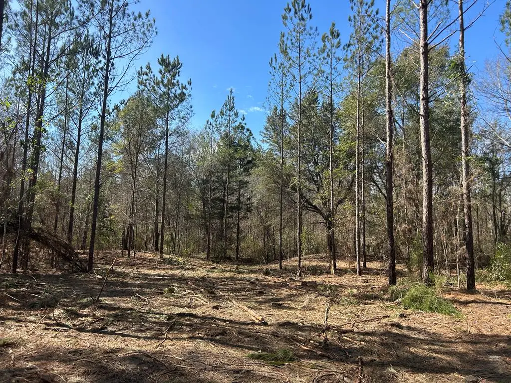 Lot 2, 20+-ac Phillips Rd, Cottonwood, AL 36320 - #1