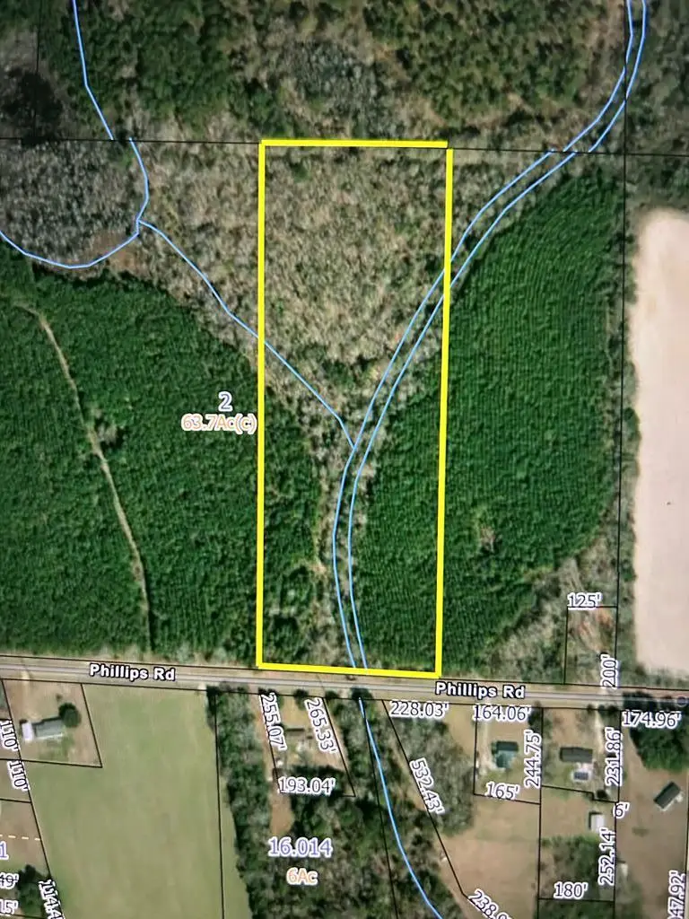 Lot 2, 20+-ac Phillips Rd, Cottonwood, AL 36320 - #3