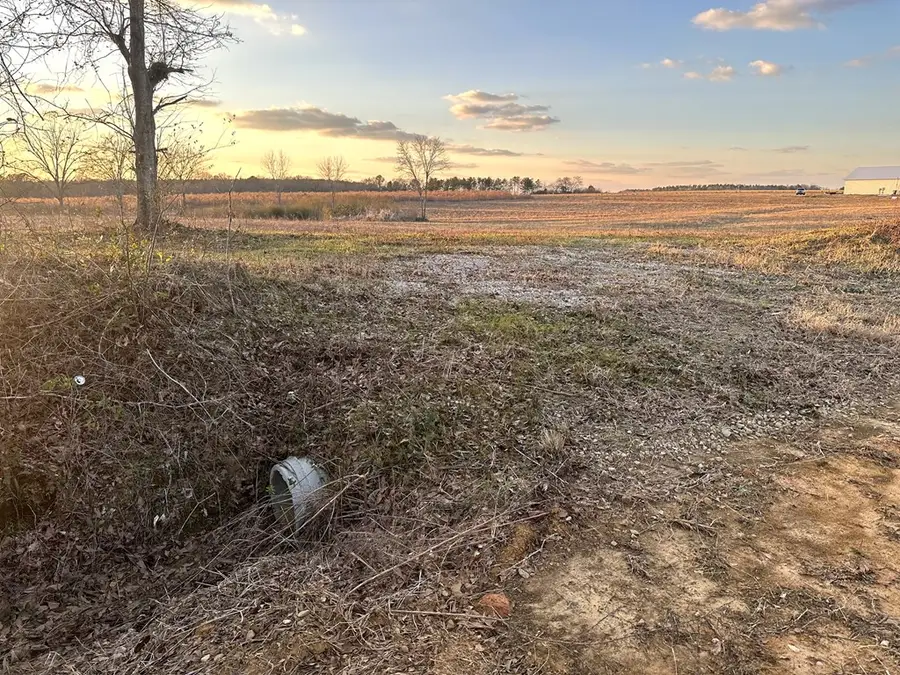 Lot 1 Culver Road, Newville, AL 36353 - #2