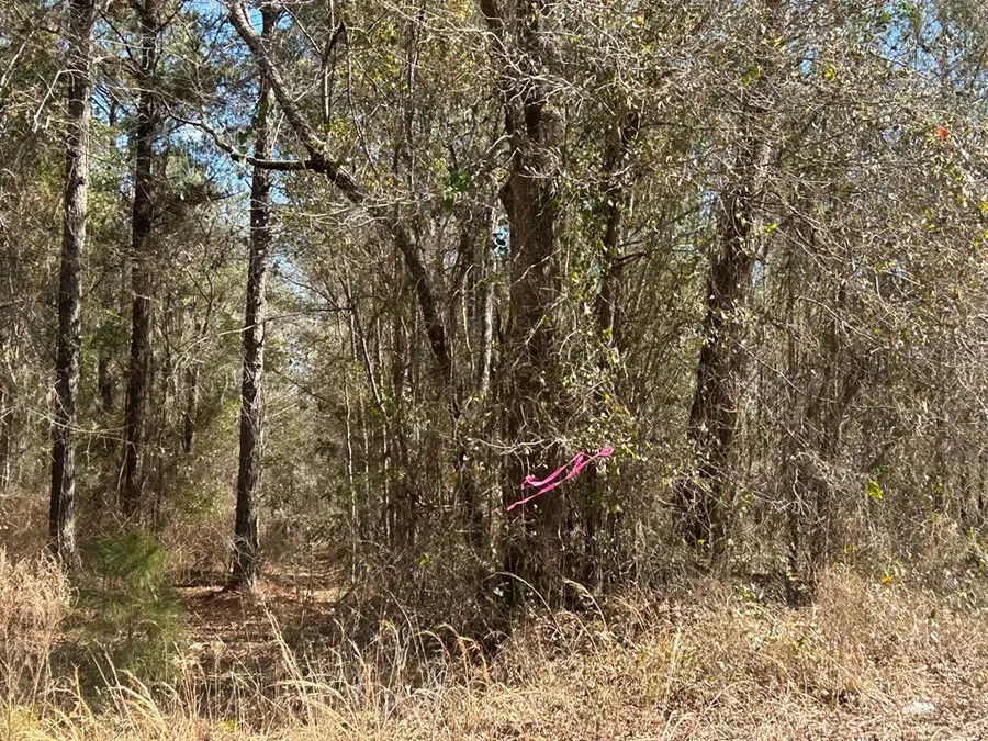 Lot 4, 10+-ac Cottonwood Rd, Cottonwood, AL 36320 - #3