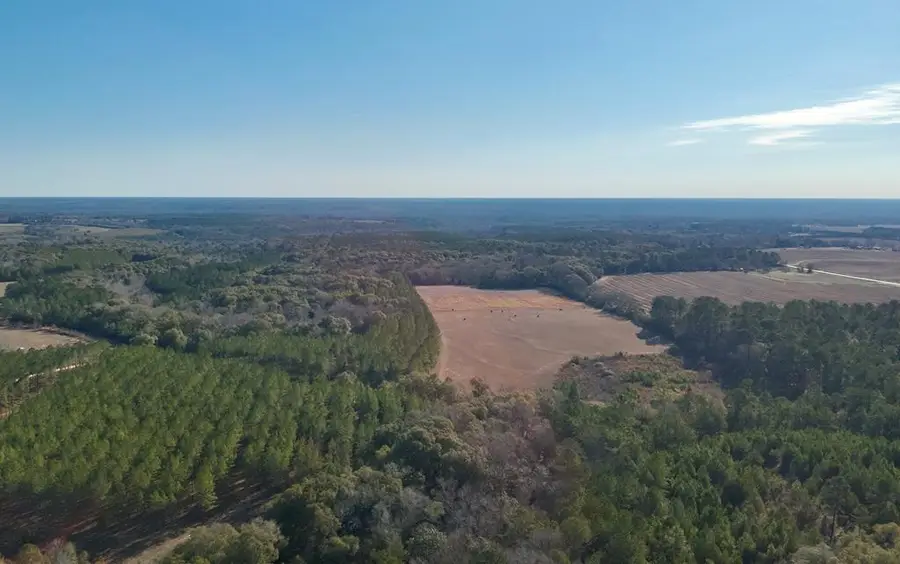 00 County Rd 170, Columbia, AL 36319 - #2