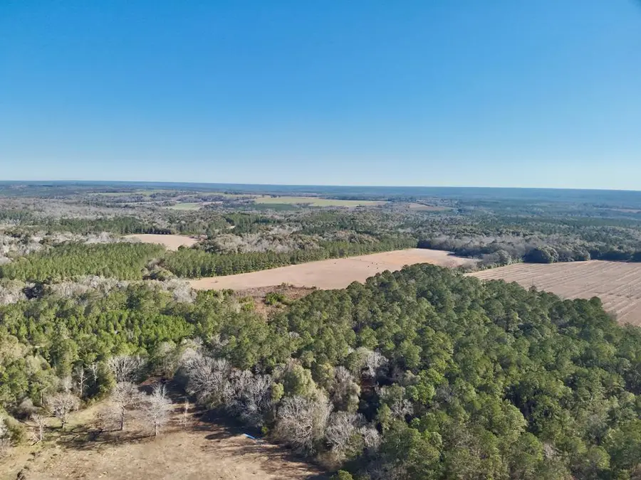 00 County Rd 170, Columbia, AL 36319 - #3