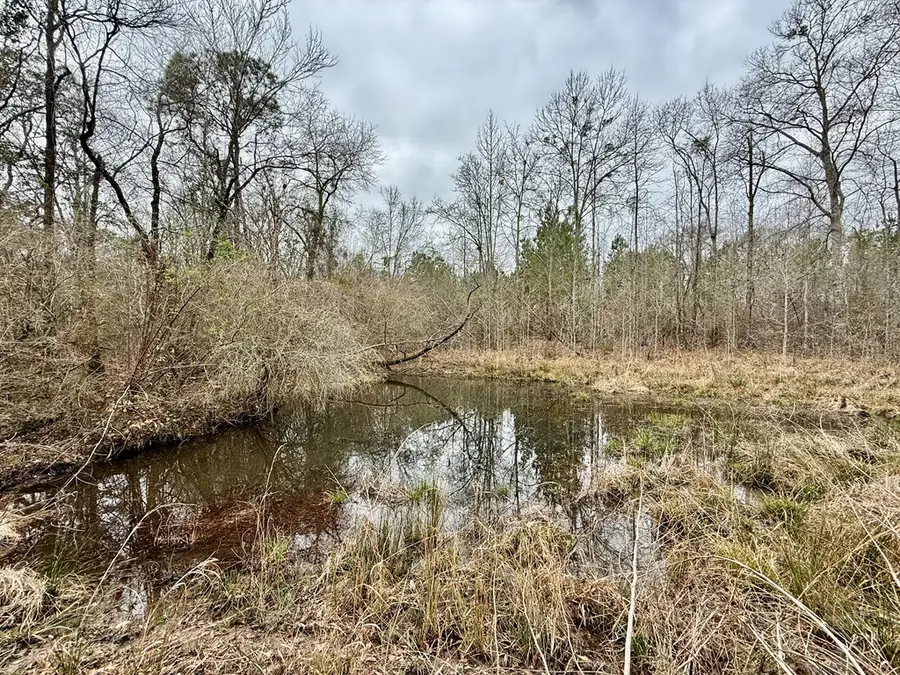 17.23 ACRES County Road 4, Hartford, AL 36344 - #2