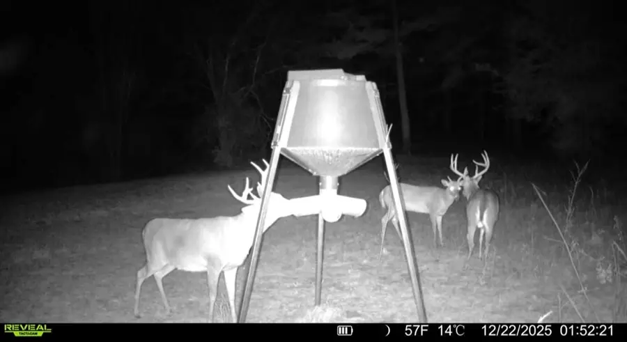 30 Acres County Road 734, Chancellor, AL 36316 - #2