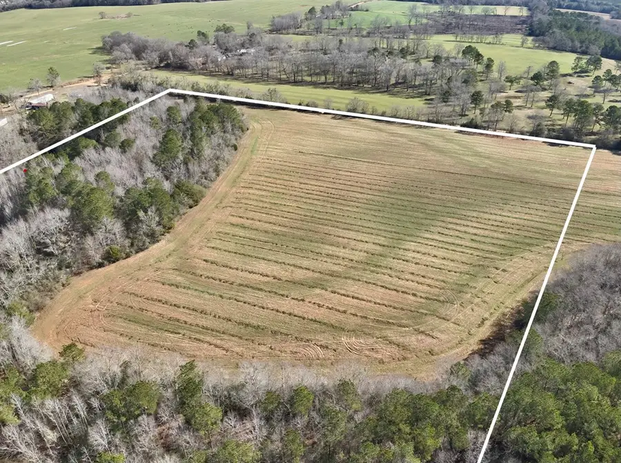 30 Acres County Road 734, Chancellor, AL 36316 - #3