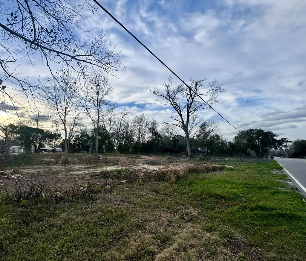 12584 Cottonwood Rd. Lot 1, Cottonwood, AL 36320 - #1