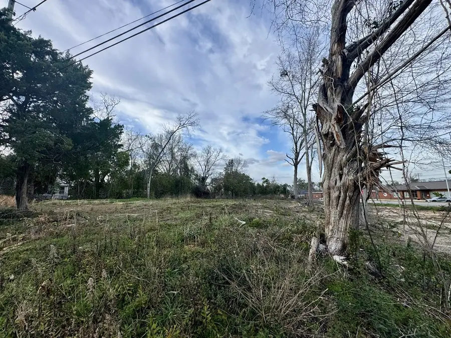 12584 Cottonwood Rd. Lot 1, Cottonwood, AL 36320 - #2