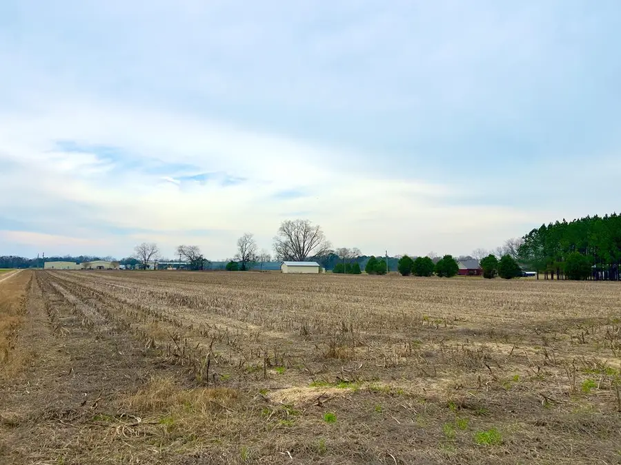 0 County Road 45, Headland Newville, AL 35345 - #2