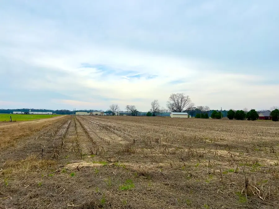0 County Road 45, Headland Newville, AL 35345 - #3