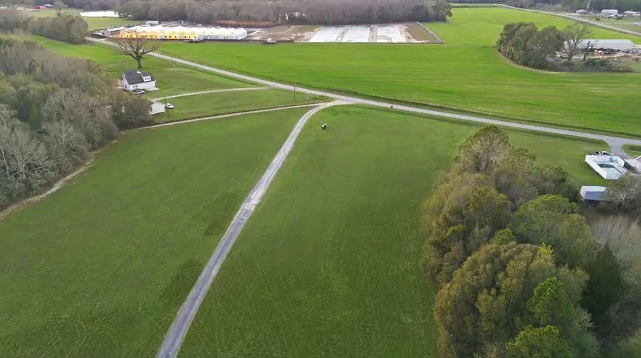 227 Deere Dr, Samson, AL 36477 - #3