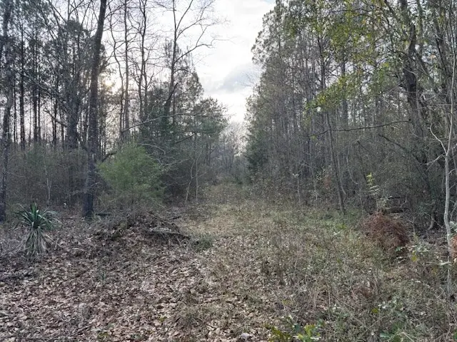 75 Point Escambia, Atmore, AL 36502 - #3