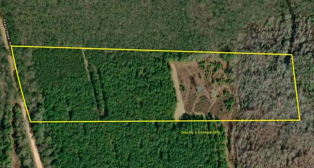 20.5 Acres Tract 4, Sealy Wells Rd, Cottonwood, AL 36320 - #1