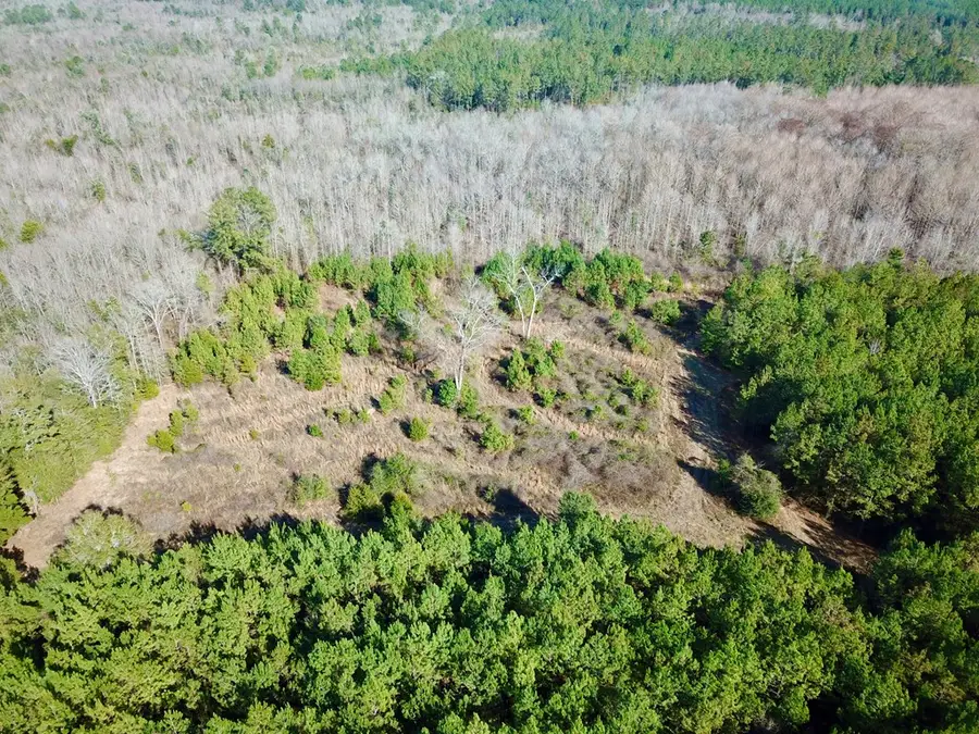 20.5 Acres Tract 4, Sealy Wells Rd, Cottonwood, AL 36320 - #3
