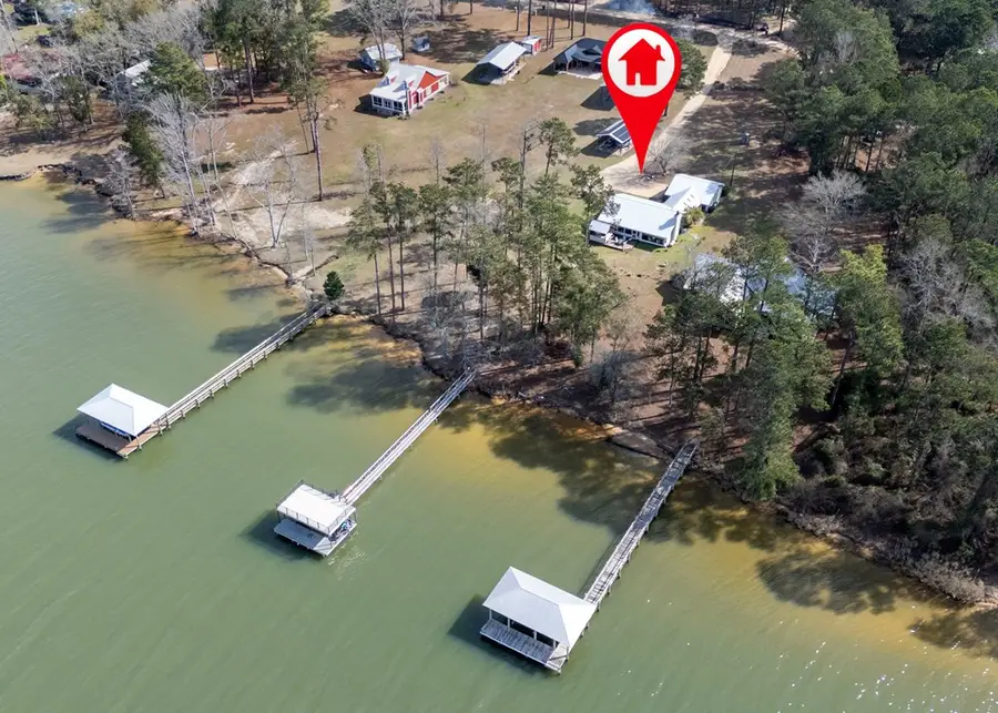 110 Lakeview Drive, Fort Gaines, GA 39851 - #3