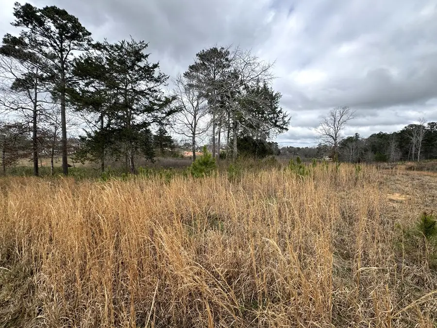 0 Ashley Court, Headland, AL 36345 - #3