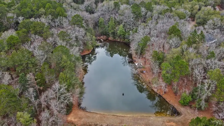 205 Osteen Drive, Ozark, AL 36360 - #3