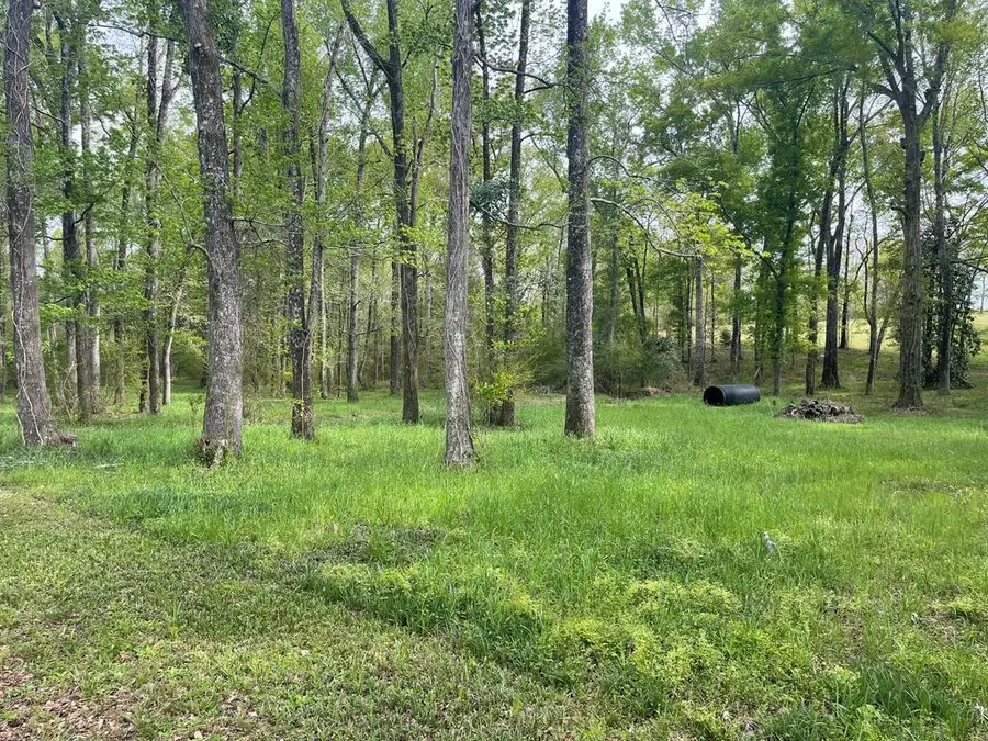 0 Glenwood, Kinsey, AL 36303 - #2