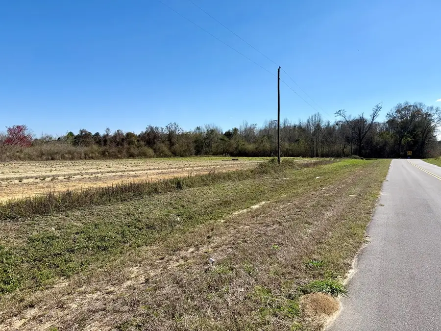 2.5 Acres Garrettroad, Ashford, AL 36312 - #2