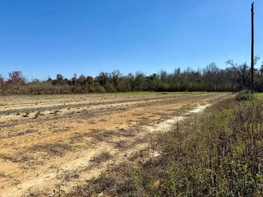 2.5 Acres Garrettroad, Ashford, AL 36312 - #3