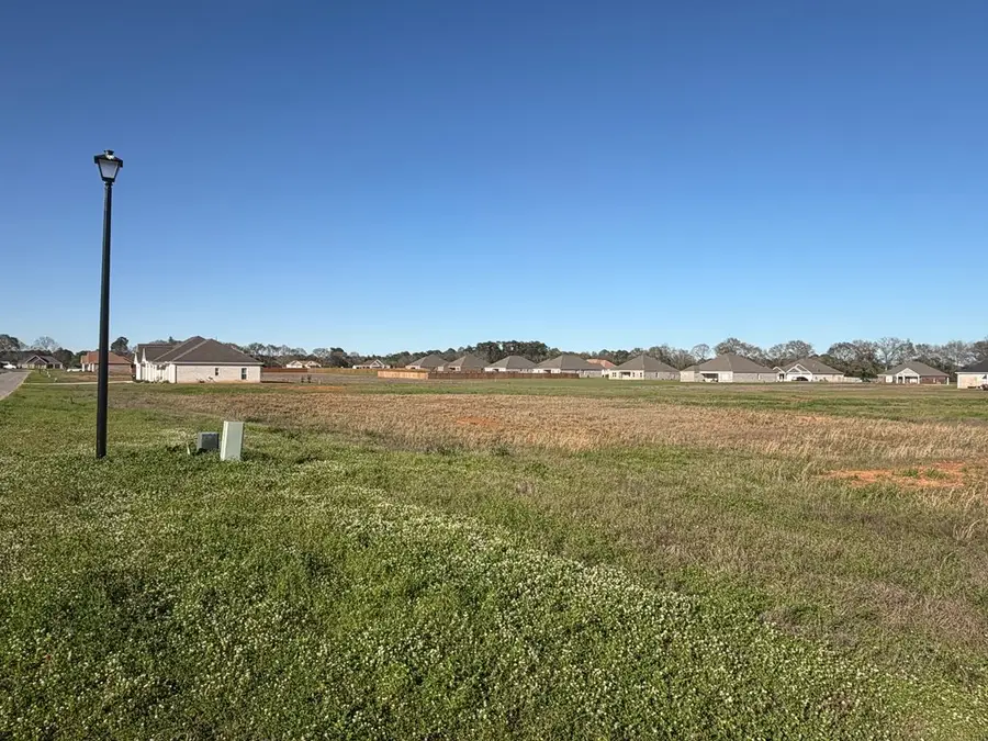 0 Heritage Way, Headland, AL 36345 - #2