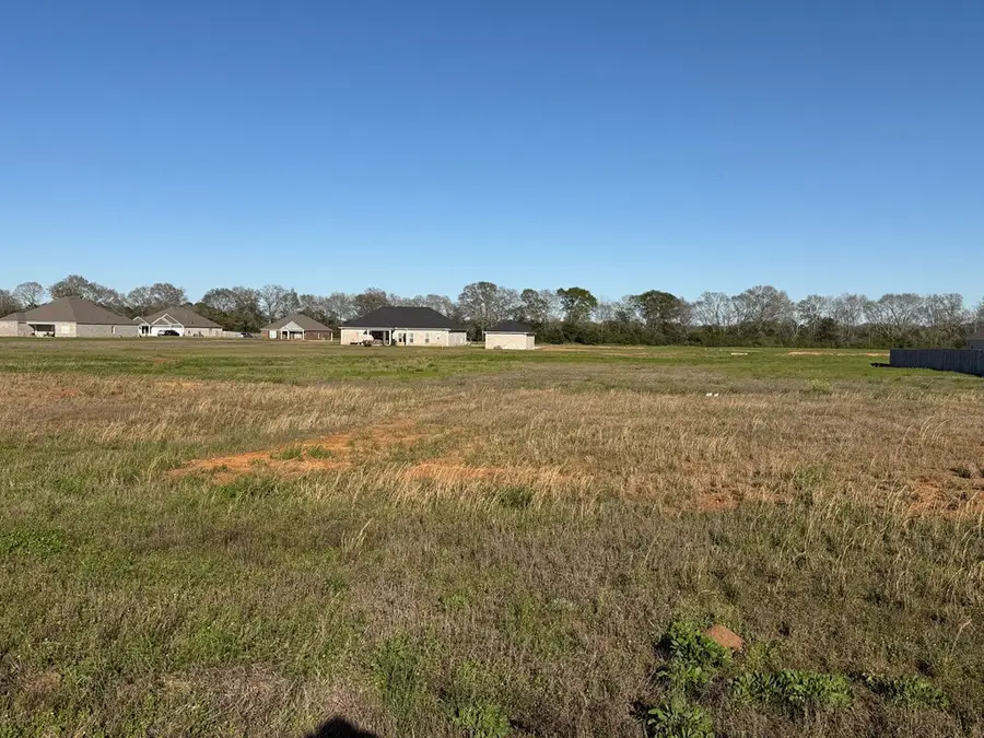 0 Heritage Way, Headland, AL 36345 - #3