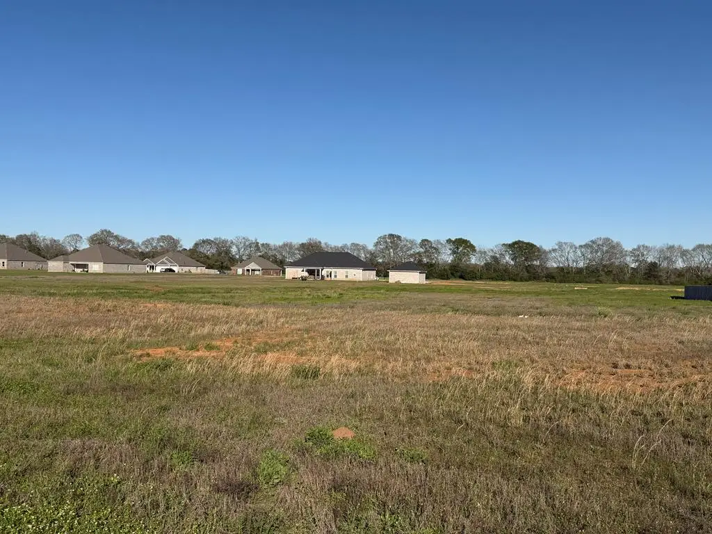 0 Heritage Way, Headland, AL 36345 - #1