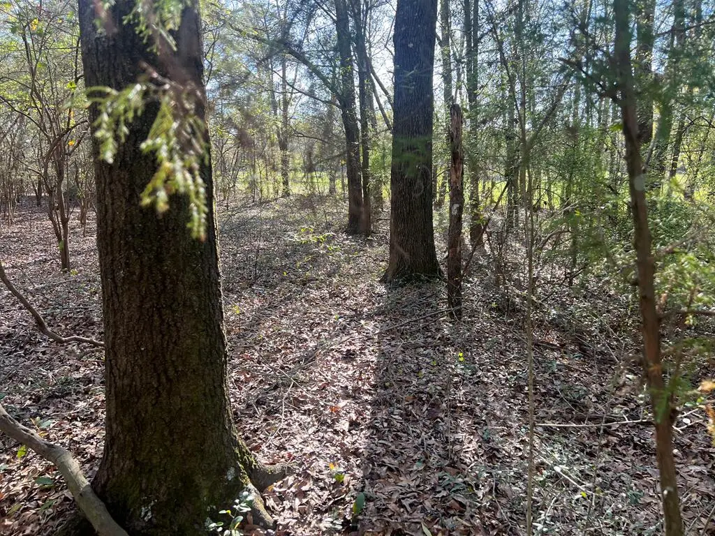 0 Faith Street, Enterprise, AL 36330 - #1