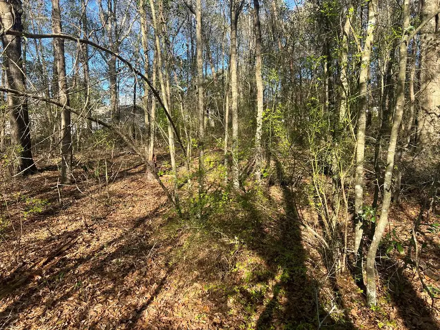 0 Faith Street, Enterprise, AL 36330 - #2