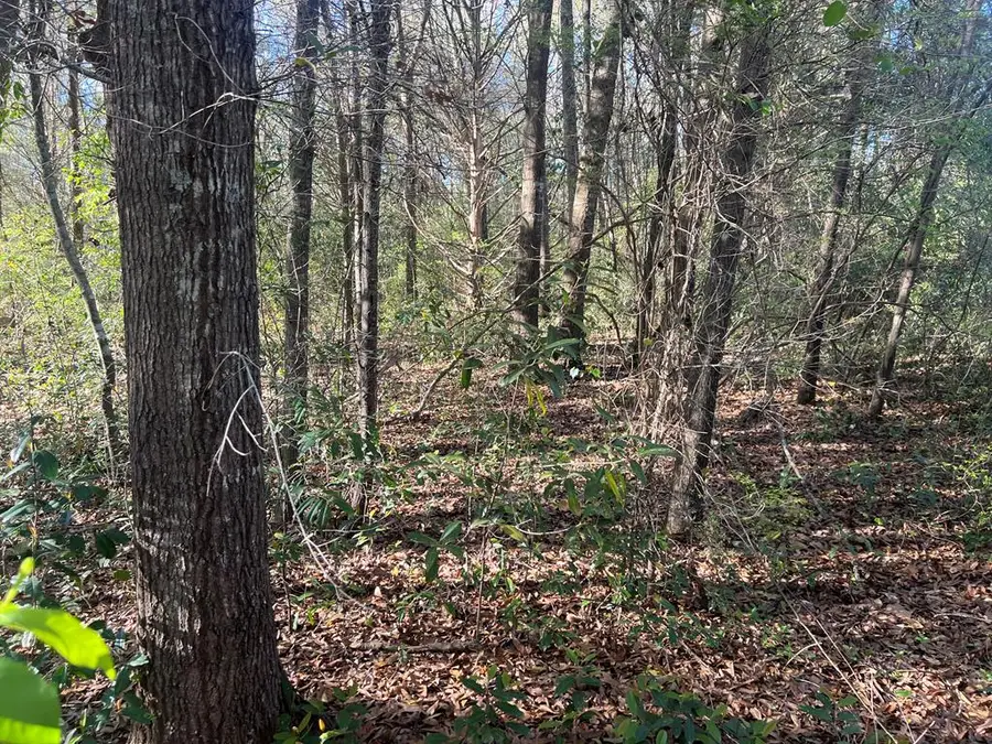 0 Faith Street, Enterprise, AL 36330 - #3