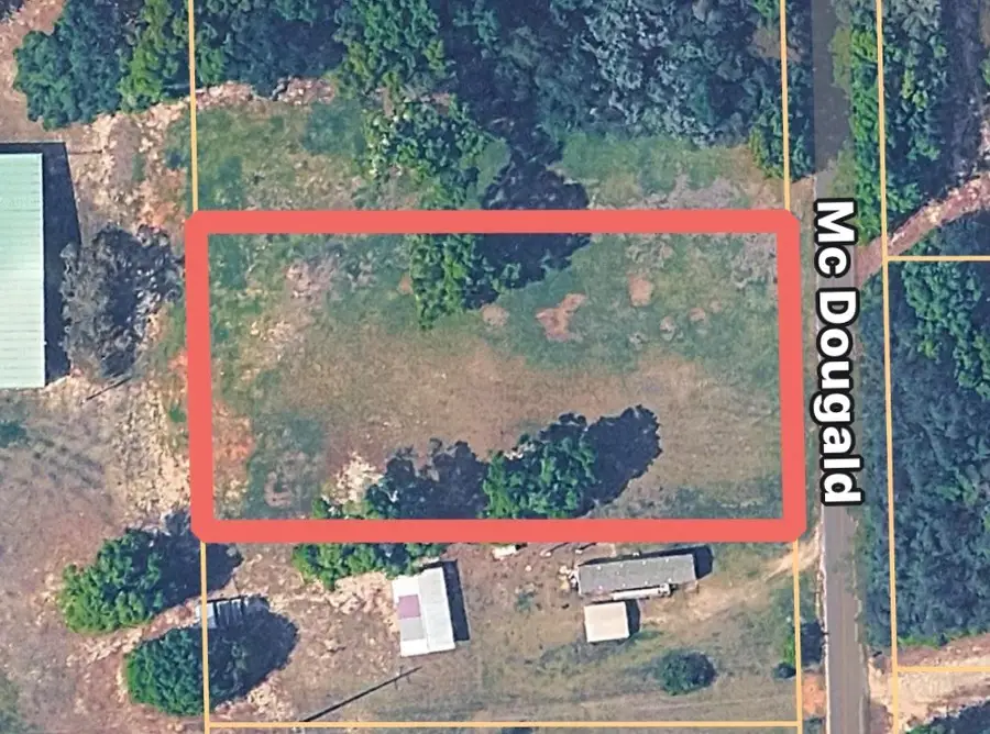 0 Mcdougald St, Geneva, AL 36340 - #2