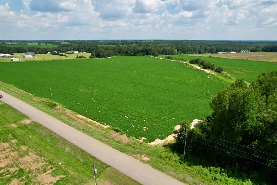 0 Judge Logue Road, Newton, AL 36352 - #2