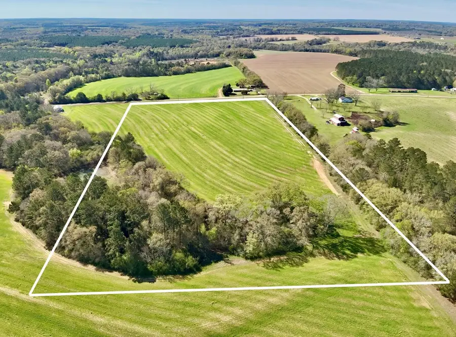 19.358 Acres T Peacock Road, Hartford, AL 36344 - #2