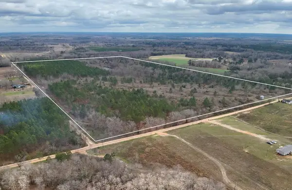 0 New Hinson Rd, Slocomb, AL 36375