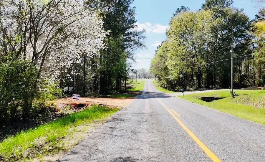 0 County Road 49, Headland, AL 36345 - #2