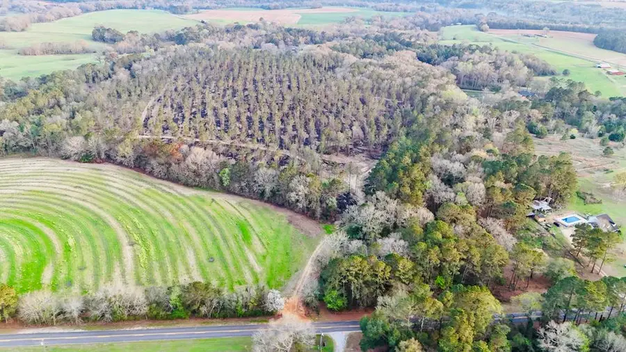 0 County Road 49, Headland, AL 36345 - #3