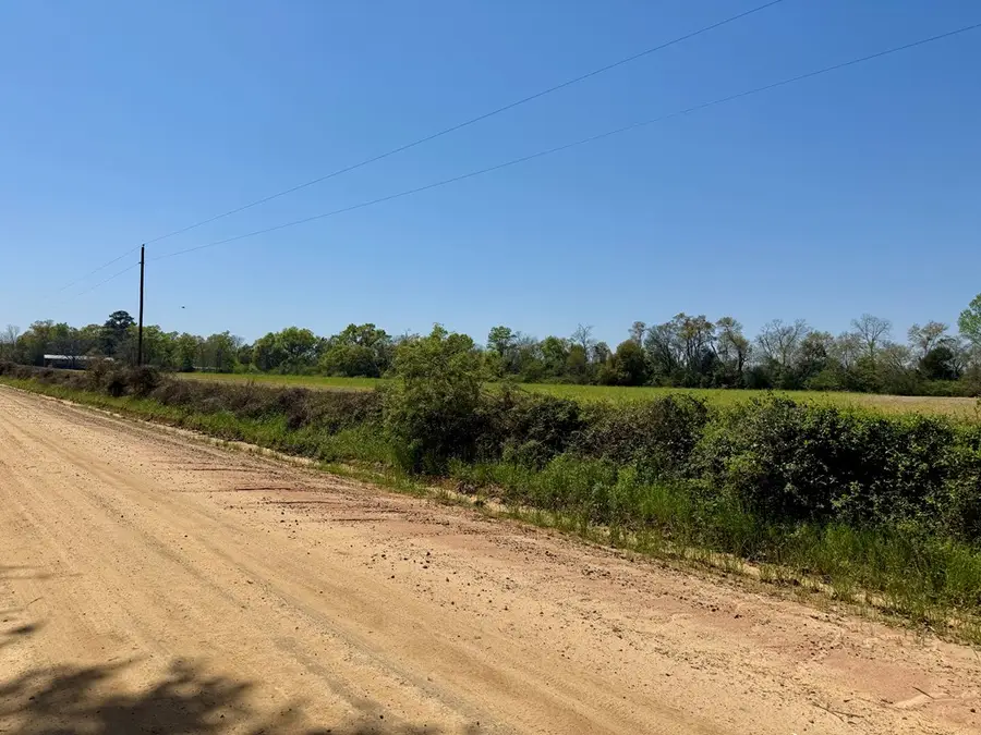 4 Acres Dillard Road, Pansey, AL 36370 - #2