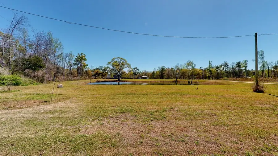 6615 State Line Road, Cottonwood, AL 36320 - #2