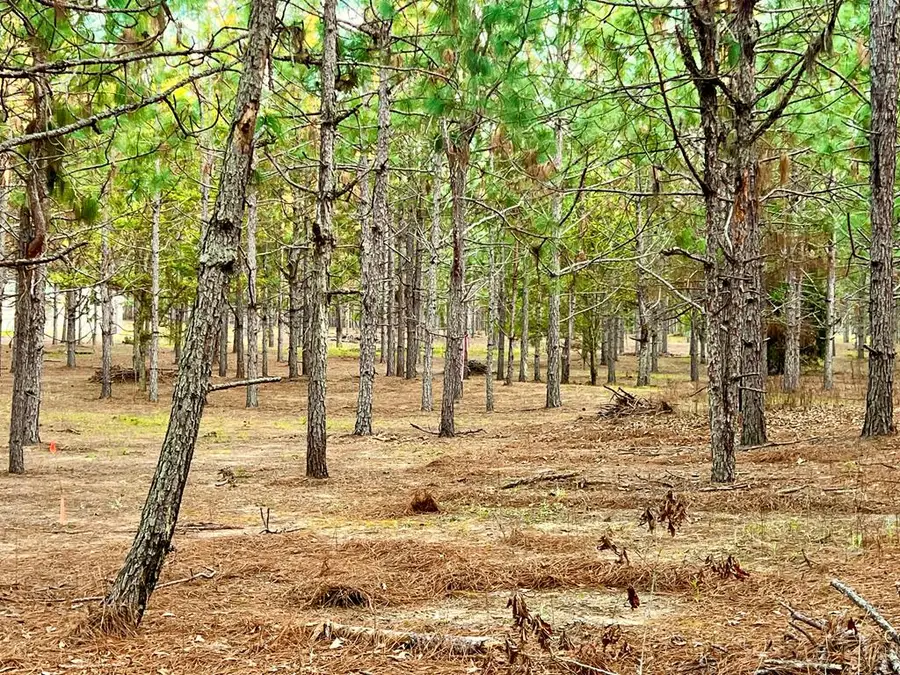 0 County Road 18, Headland, AL 36345 - #2