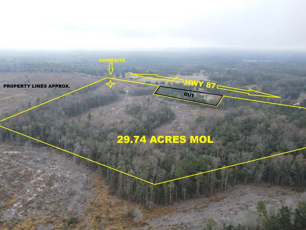 29.74 Acres Highway 87, Samson, AL 36477 - #1