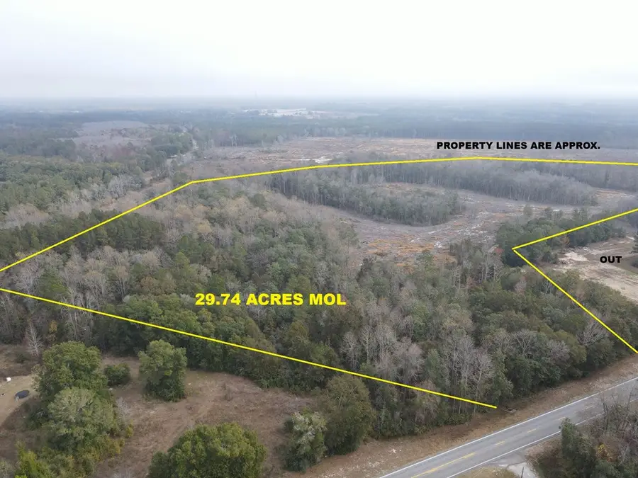 29.74 Acres Highway 87, Samson, AL 36477 - #2