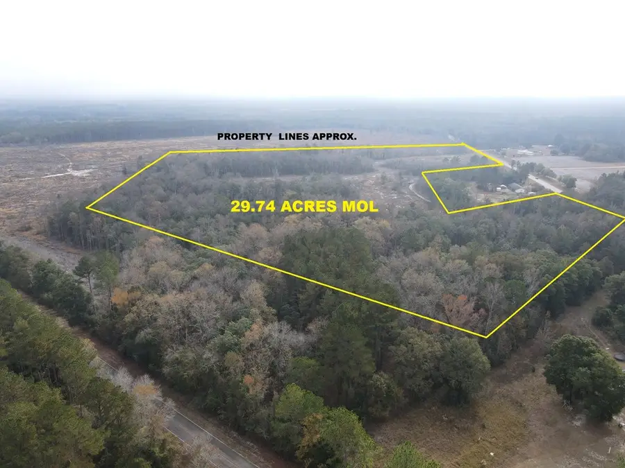 29.74 Acres Highway 87, Samson, AL 36477 - #3