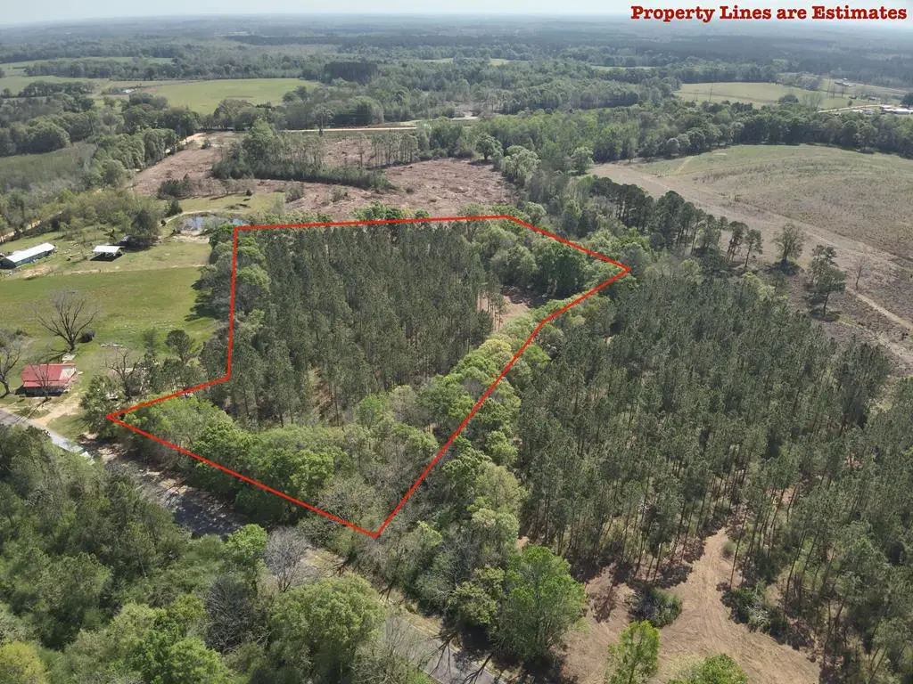 0 S County Rd 49, Slocomb, AL 36375 - #1