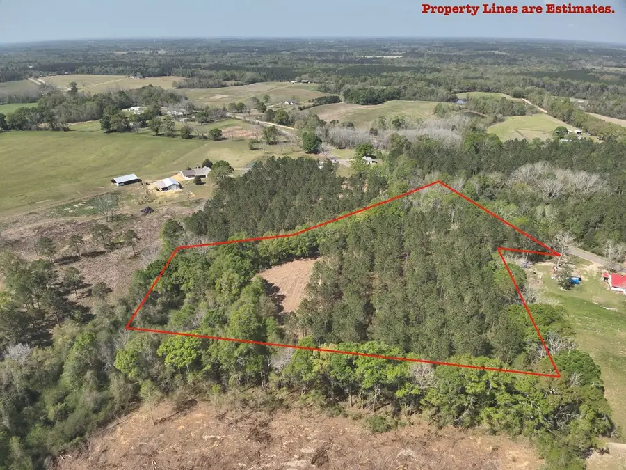 0 S County Rd 49, Slocomb, AL 36375 - #2