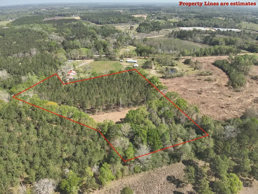 0 S County Rd 49, Slocomb, AL 36375 - #3