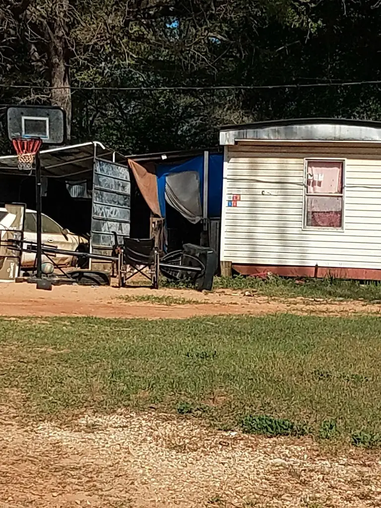 680 Pine Acres, Newton, AL 36352 - #2