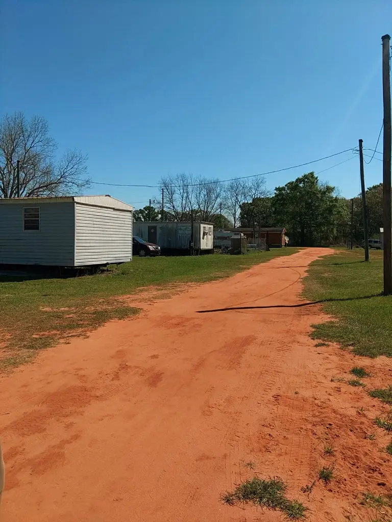 1251 Davis Mill Road, Slocomb, AL 36375 - #3